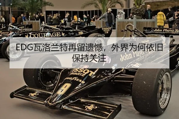 wa-luo-lan-te-zai-liu-yi-han-wai-jie-wei-he-yi-jiu-bao-chi-guan-zhu-1-312.jpg - hth